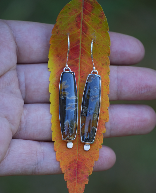 Ammonite Dangles