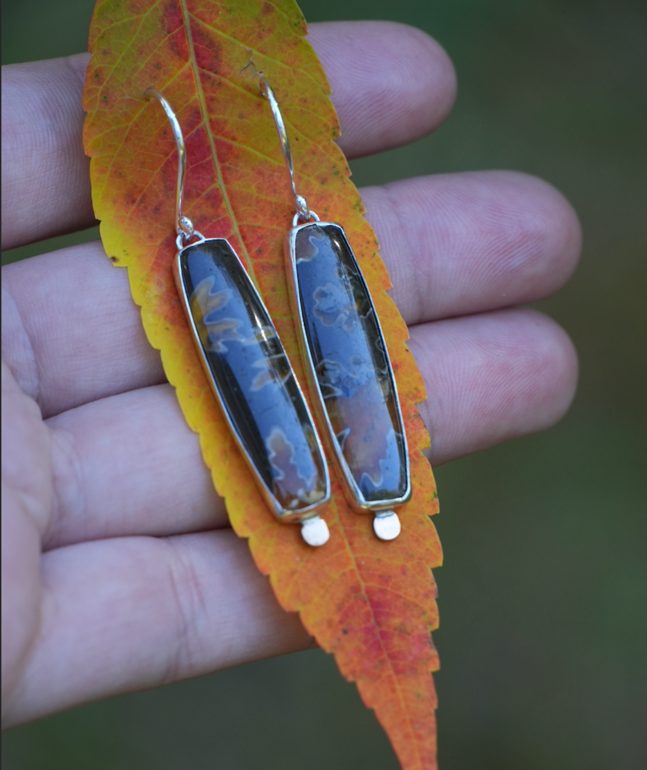 Ammonite Dangles