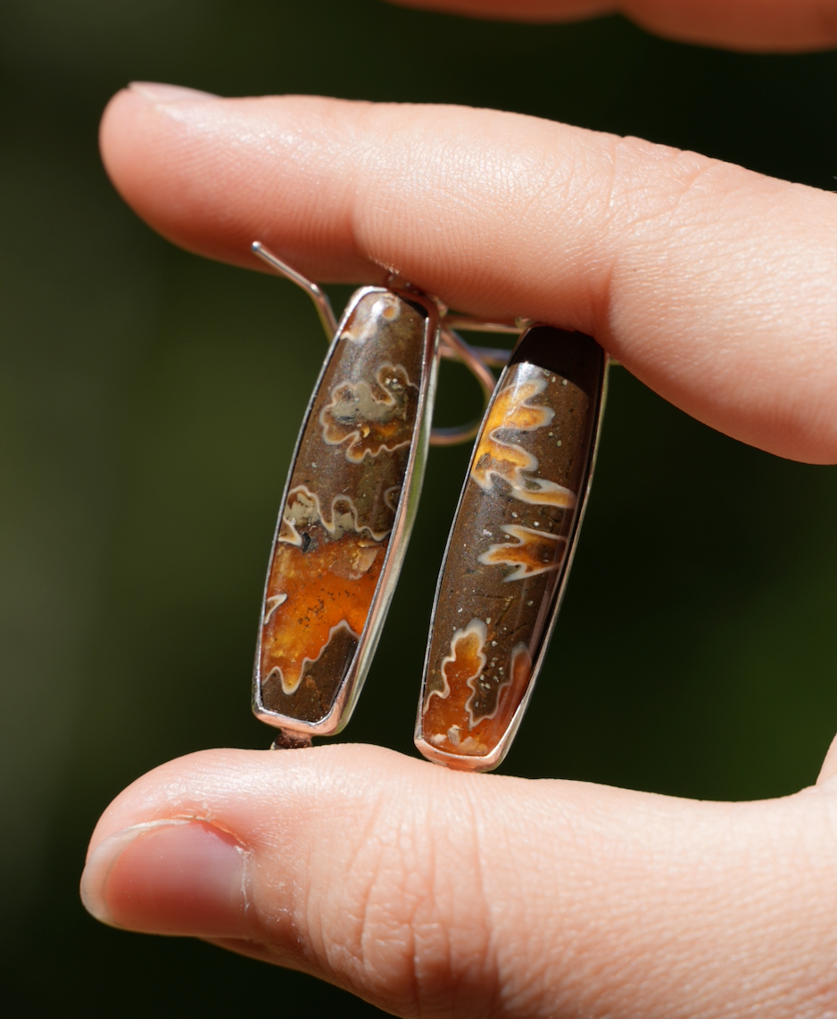 Ammonite Dangles