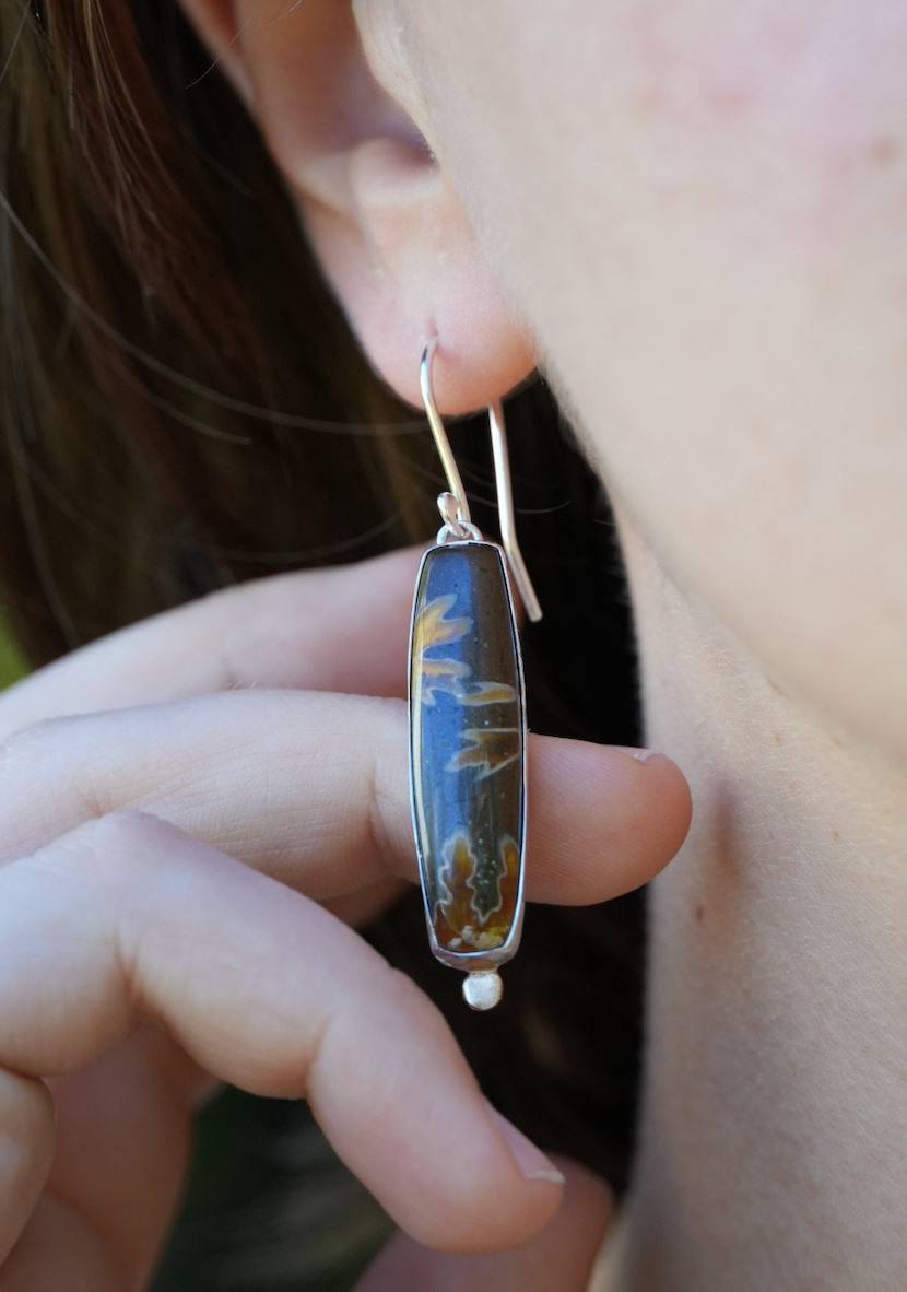 Ammonite Dangles