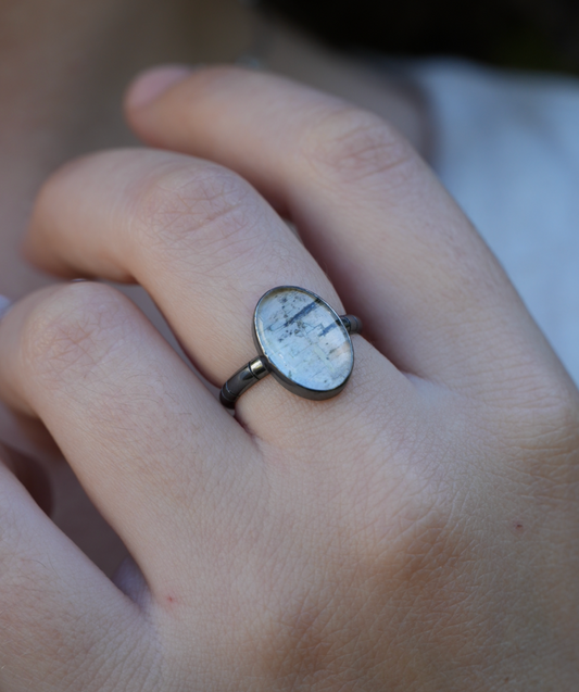Birch Ring | MTO