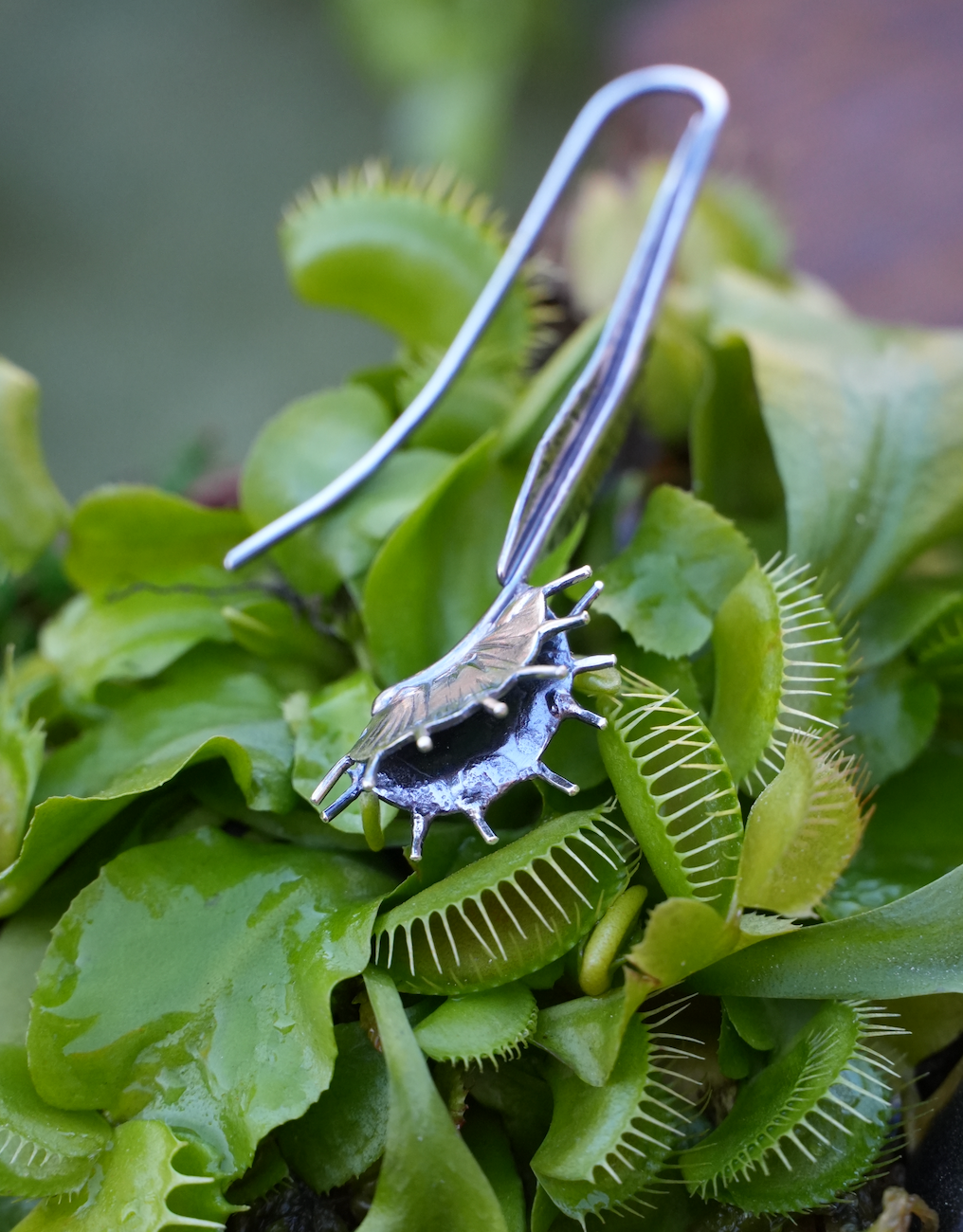 Venus Fly Trap Earrings | Ready to Ship
