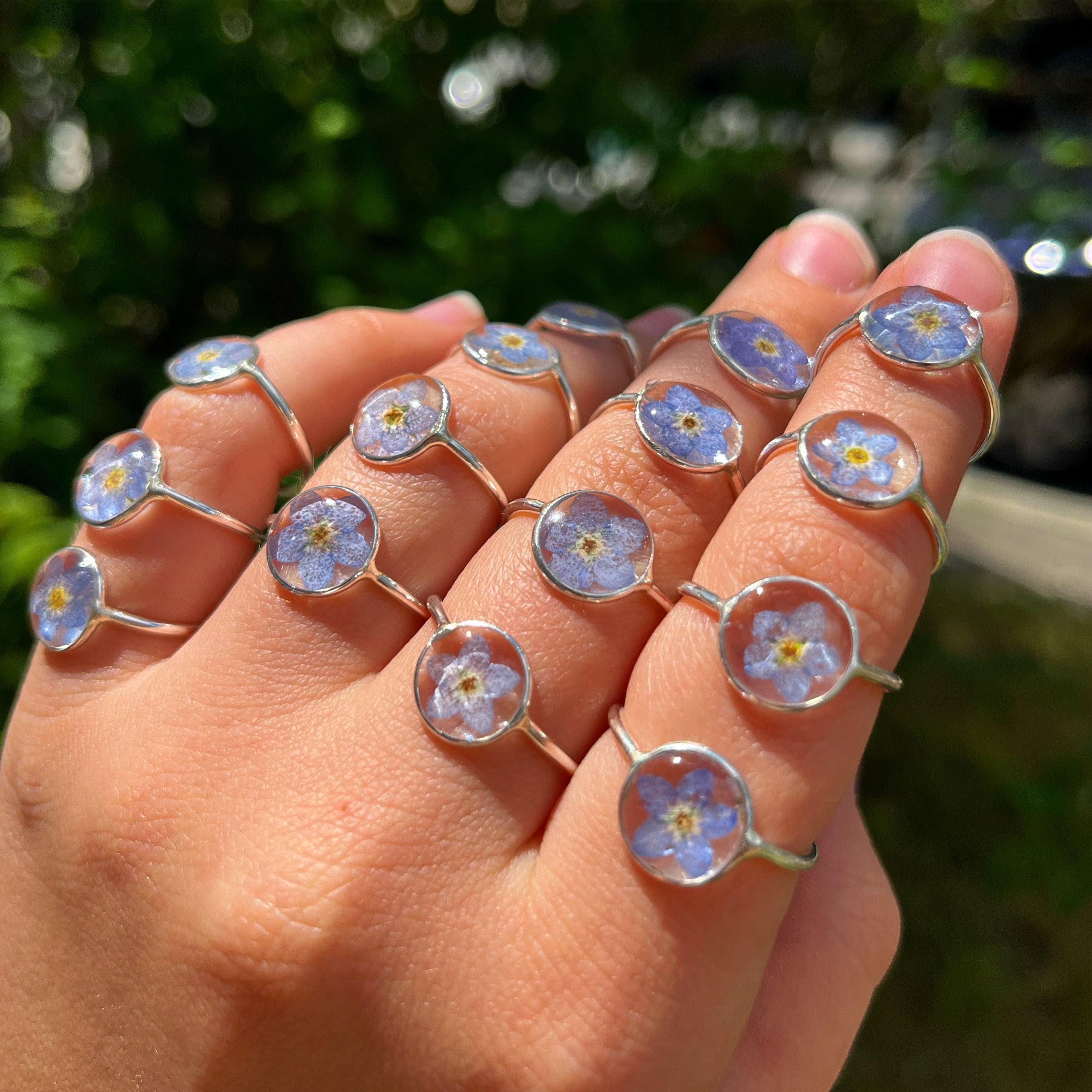 Rings – Entangled Roots