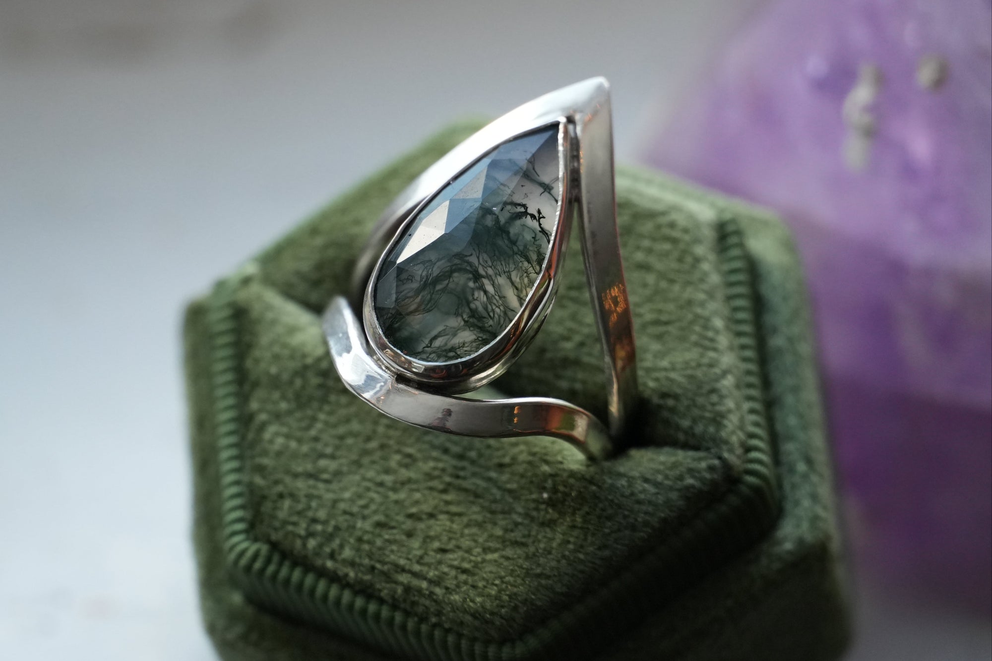 Entangled Root Studio – Entangled Roots