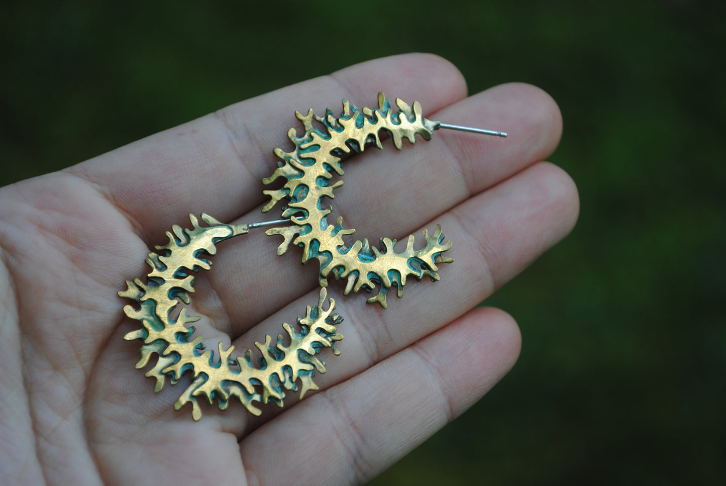 Lichen Hoops