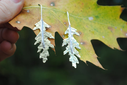 Oak Earrings