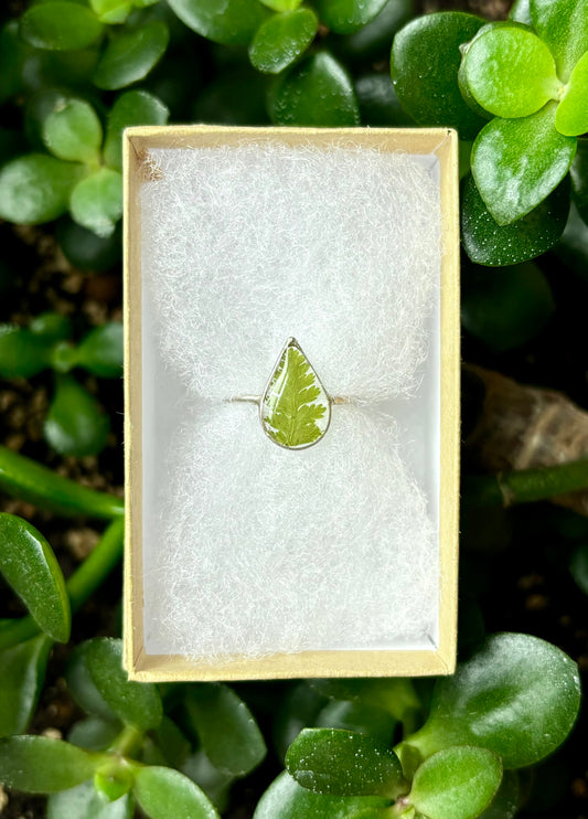 Sterling Silver Fern Ring | MTO