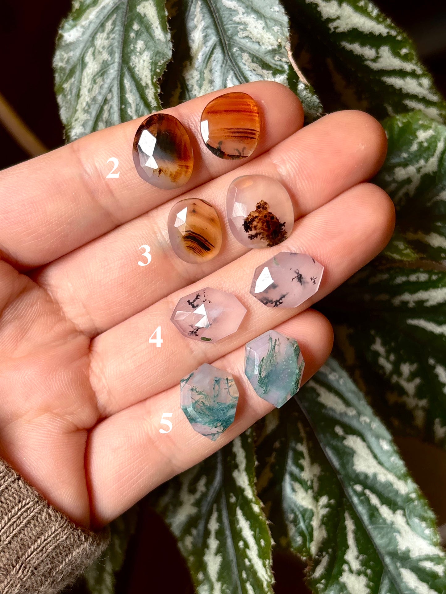 Fall Foliage Studs
