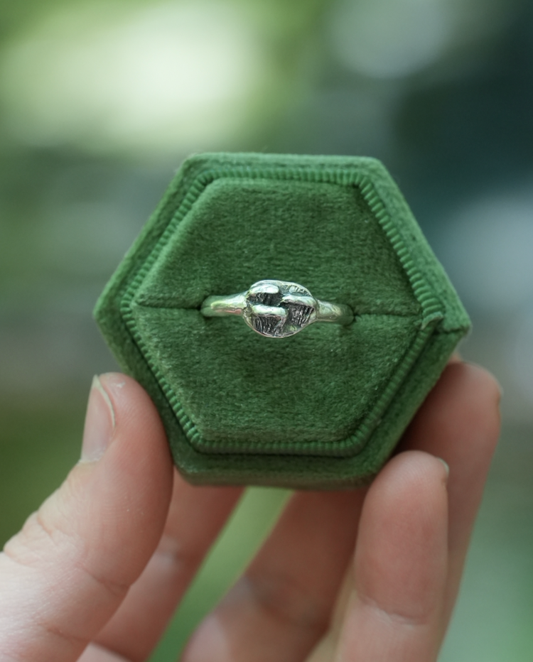 Mushroom Rings
