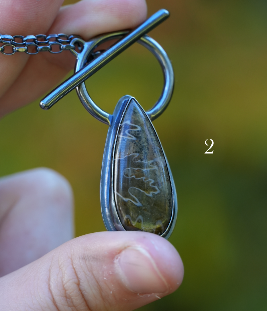 Ammonite Pendants