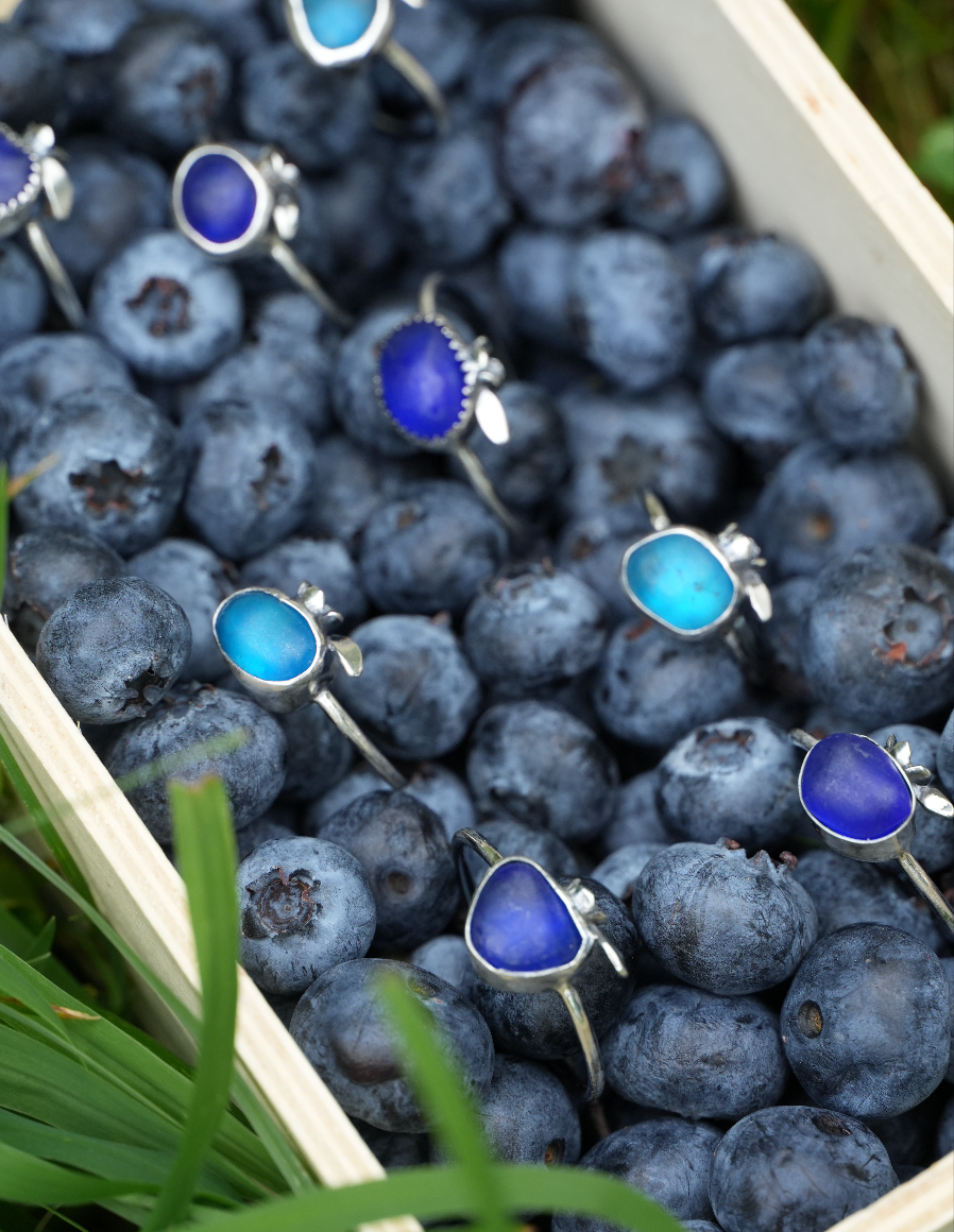 Blueberry Rings | Ready to Ship!