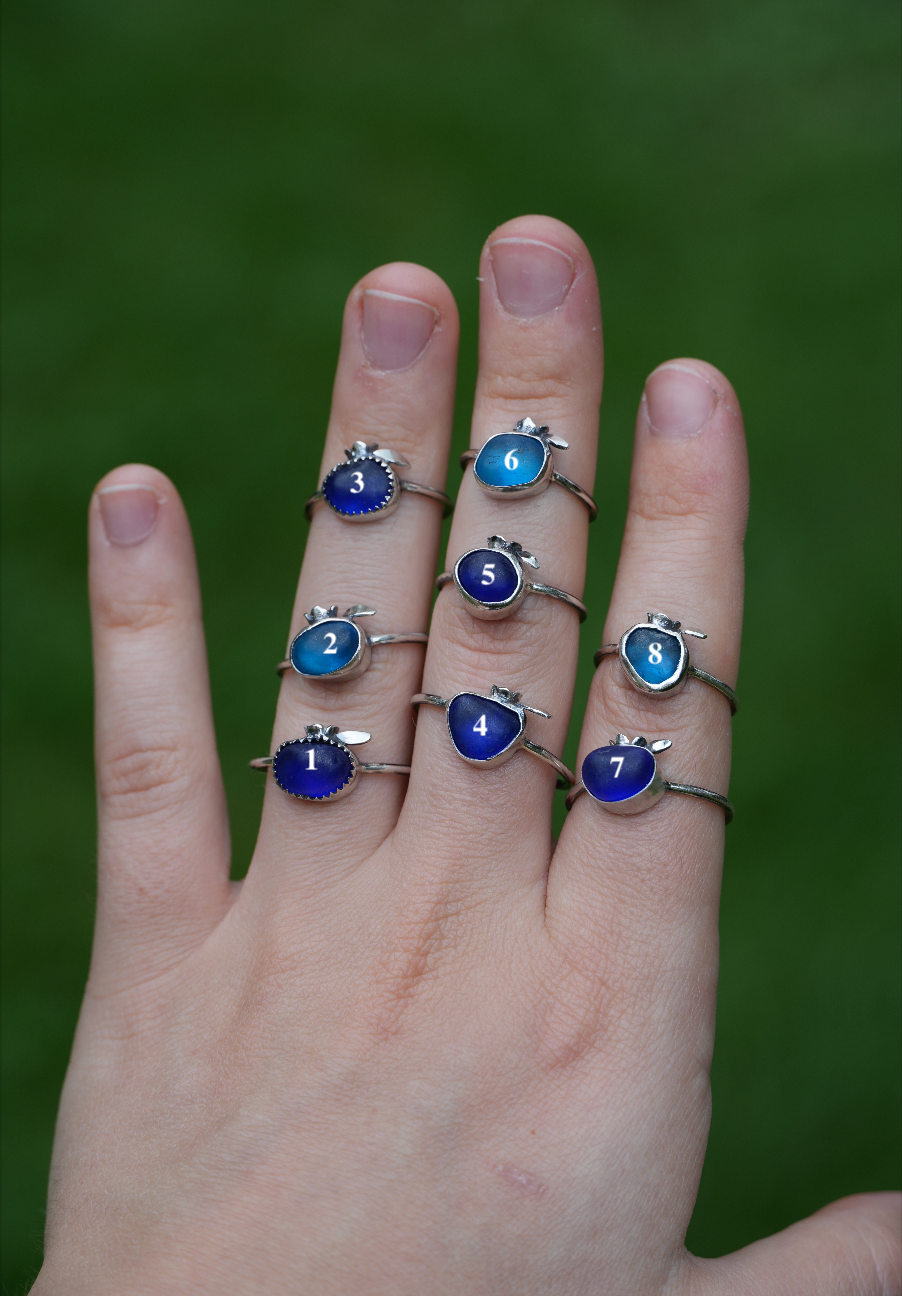 Blueberry Rings | Ready to Ship!